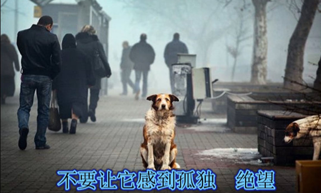 静海静海爱影圈微博微信转发案例